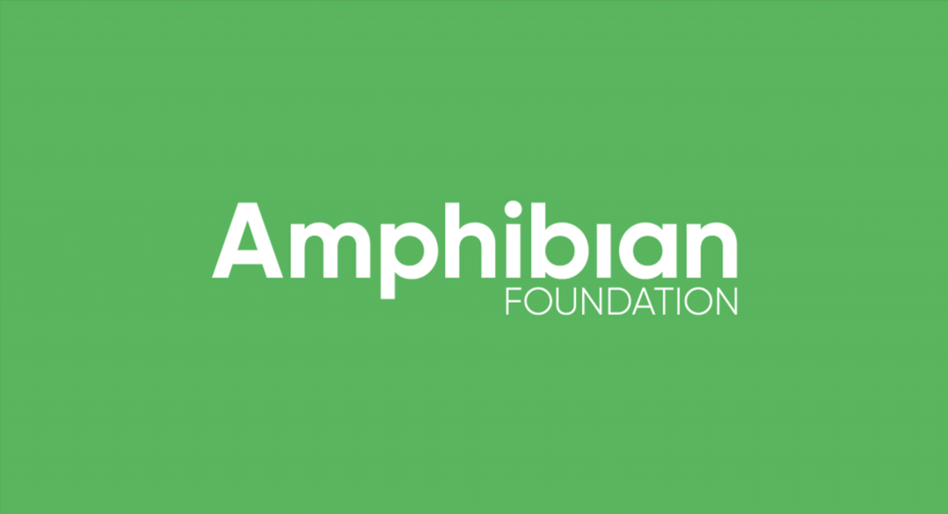 Amphibian Foundation Business Animation