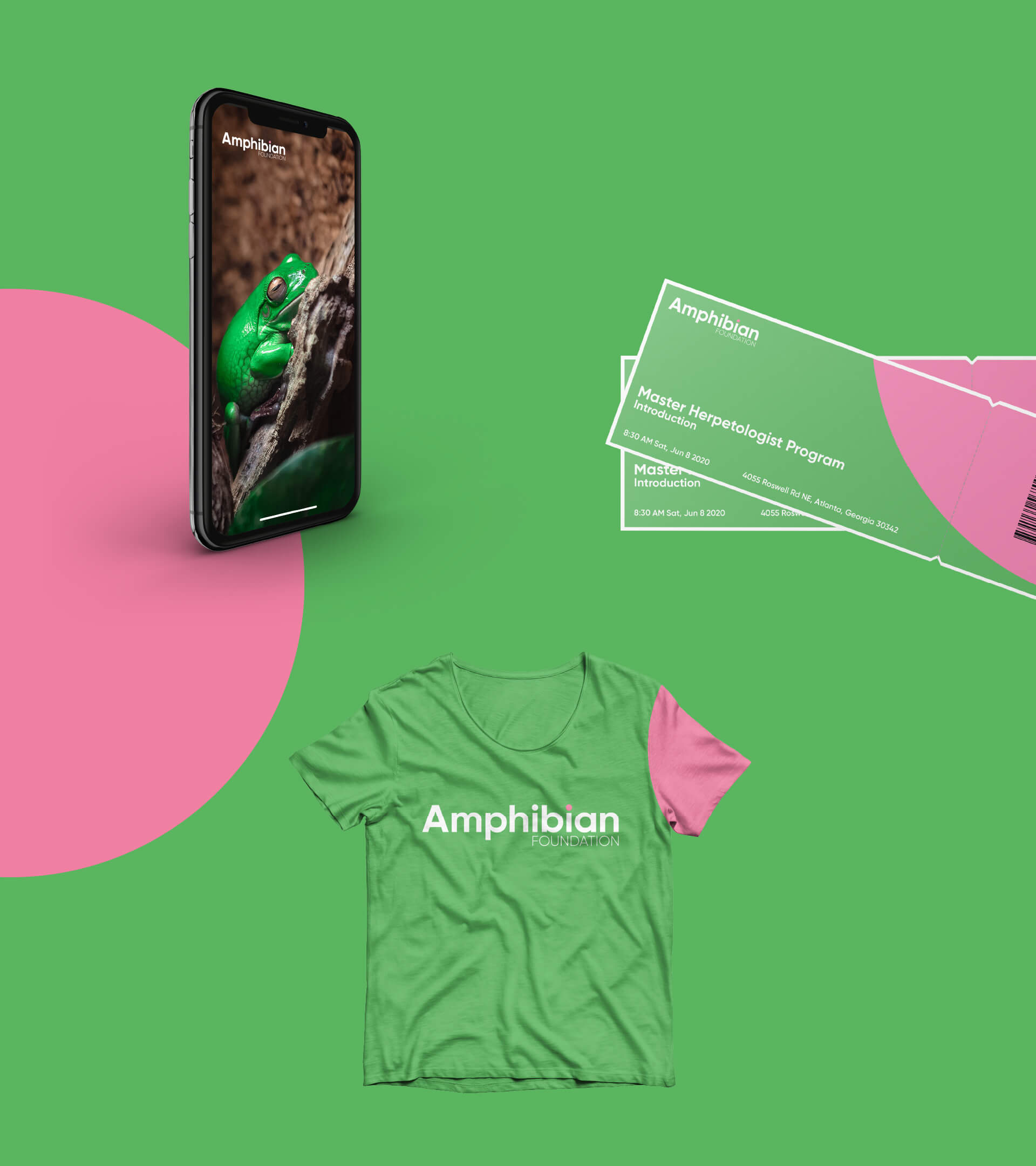 Amphibian Foundation Mockups